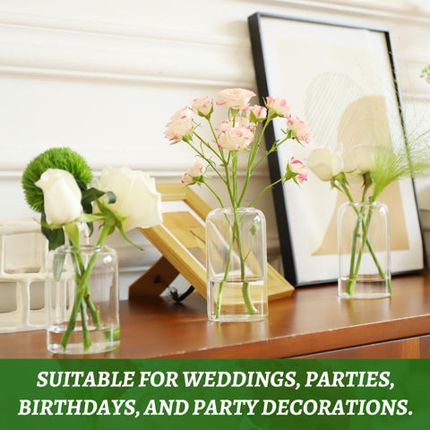 GNILLKO Glass Bud Vases smooth top edges ensure safe handling