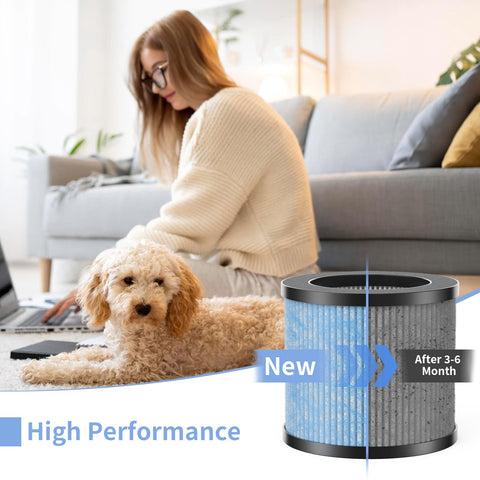 GoKBNY two-pack TPAP002 filters, ready to install for continuous purifier performance