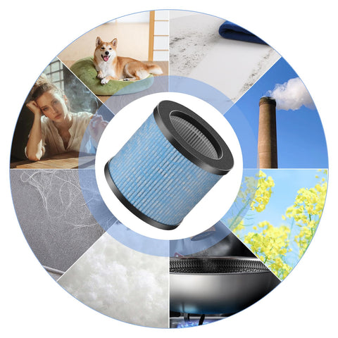 GoKBNY TPAP002 compatible filter, easy swap for cleaner air