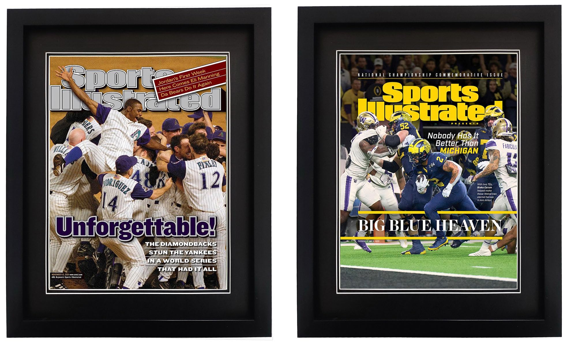 Goldfinch frame showing double black matting for magazine contrast
