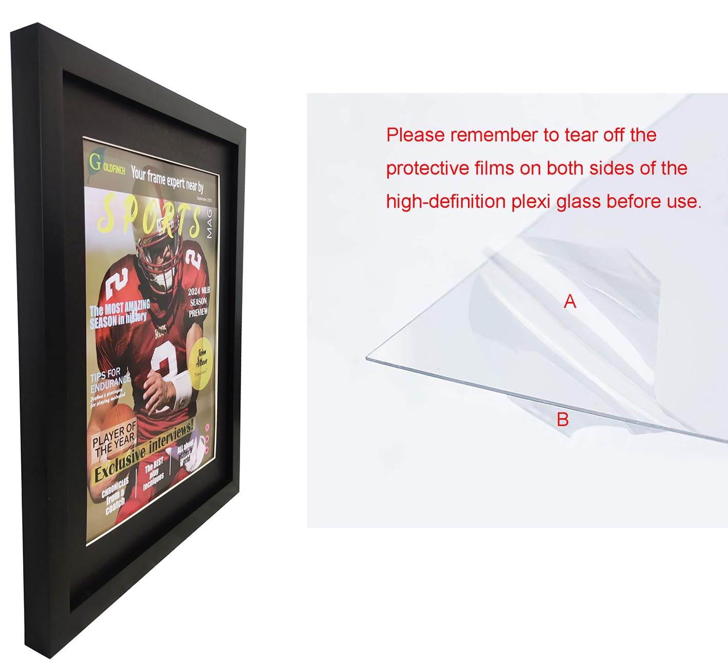 Goldfinch frame using polycarbonate glass for clear protection
