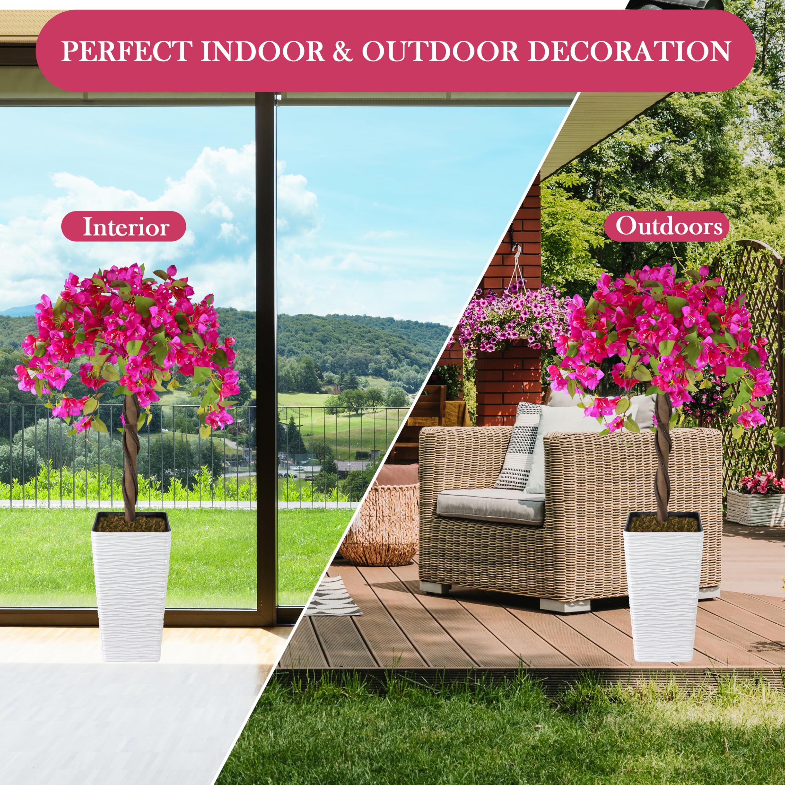 Goldshire's bougainvillea suits indoor or outdoor spaces.