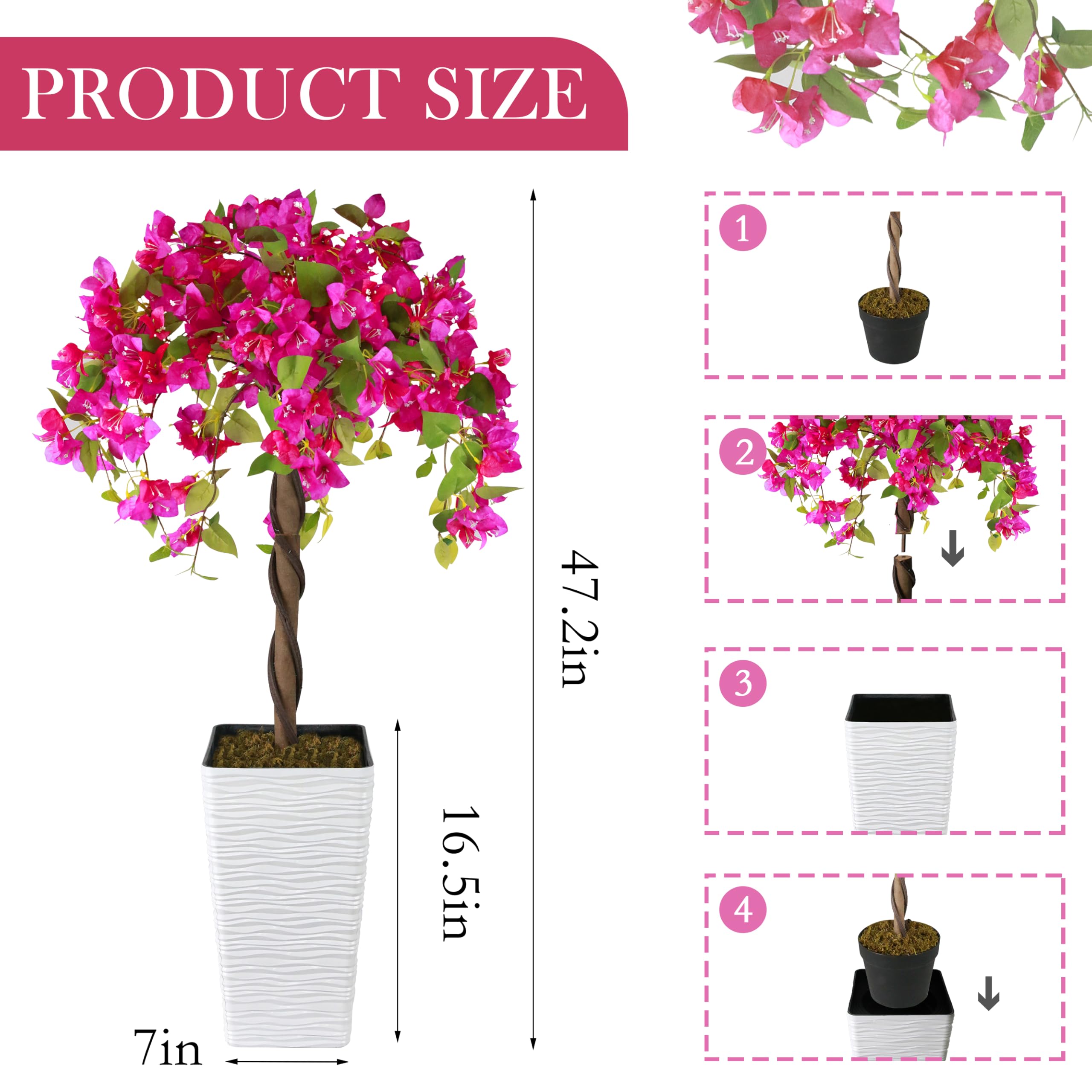 Goldshire bougainvillea with white planter adds instant interior charm.