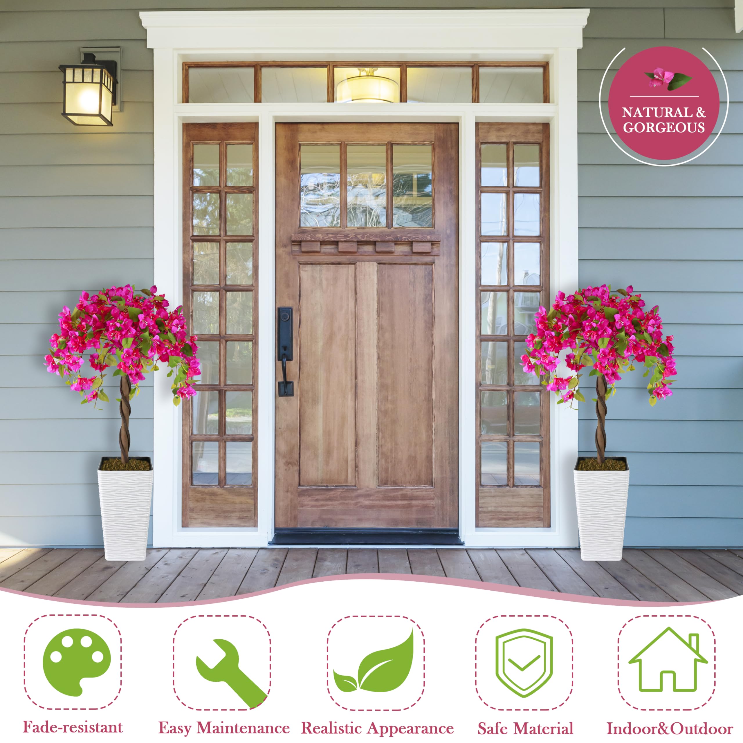 Goldshire requires no watering, delivering evergreen appearance with minimal maintenance.