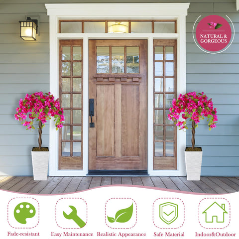 Goldshire requires no watering, delivering evergreen appearance with minimal maintenance.