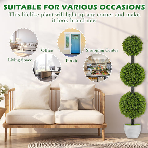 Goldshire topiary in-pot setup suitable for balcony or terrace