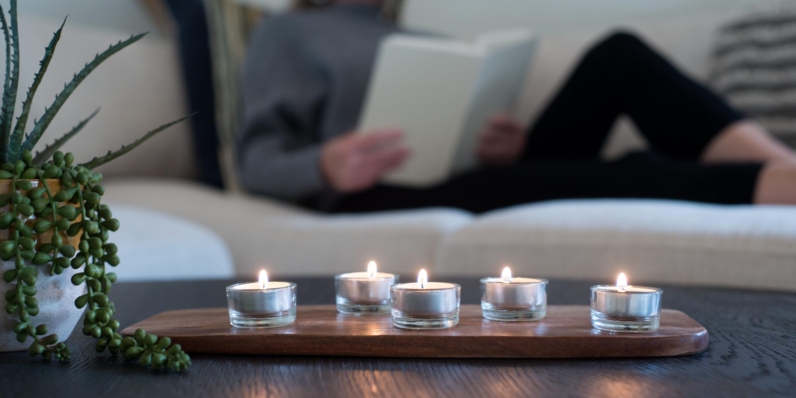 GoodLight eco-friendly tea light enhances rainforest conservation efforts.