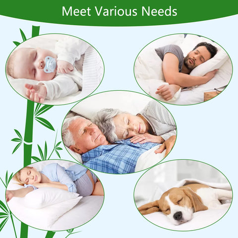 GOONIK Queen Mattress Protector easy-care machine washable for daily use