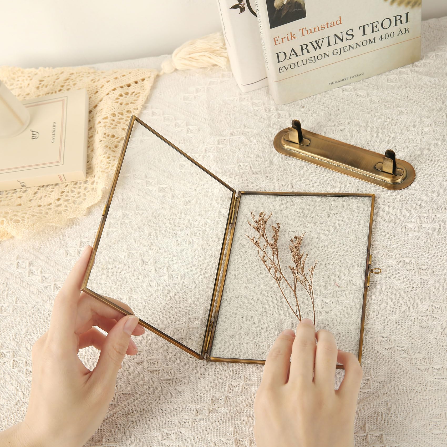 Goutangen brass frame on sturdy tabletop stand for stable display