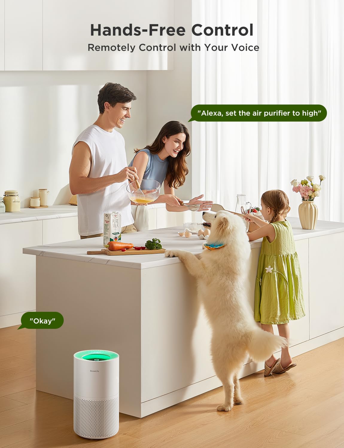 GoveeLife with Alexa and Google Assistant for hands-free control.