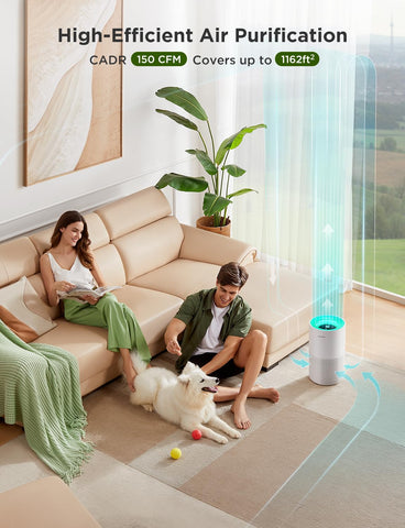 GoveeLife app control enables remote management of air purification.