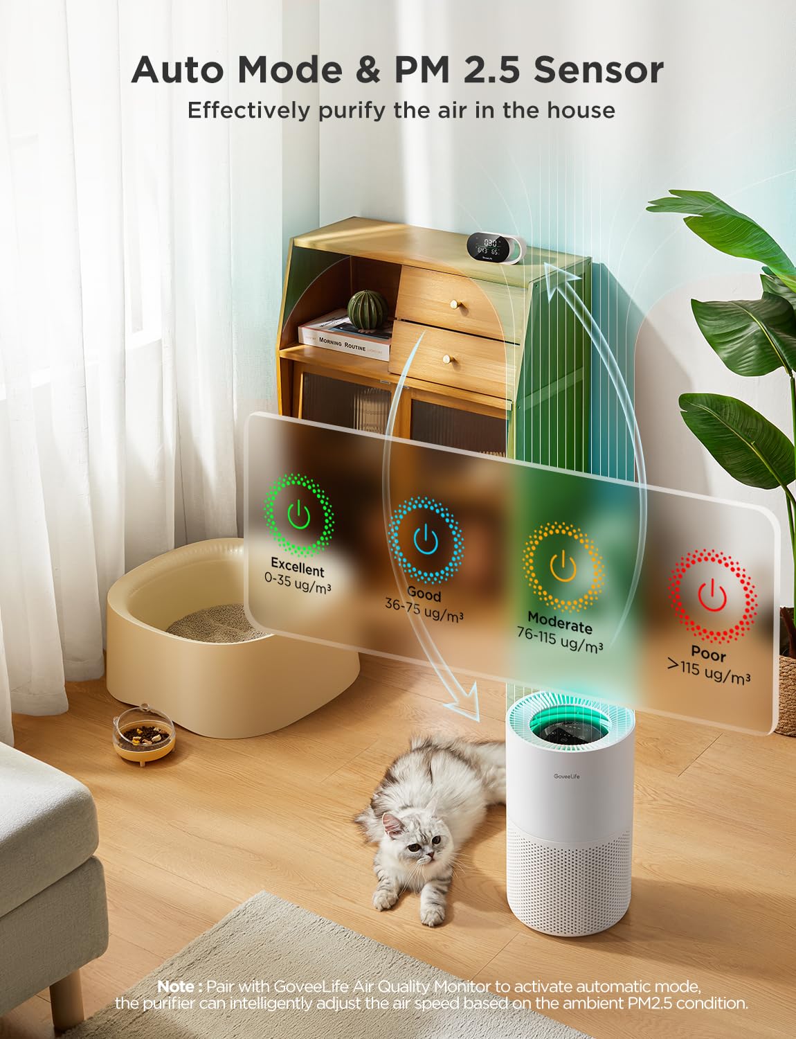 GoveeLife detachable pre-filter for easy maintenance and freshness.