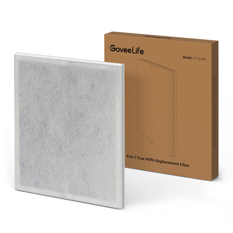 GoveeLife H7123101 replacement filter packaging, ready for quick refresh of air purification.