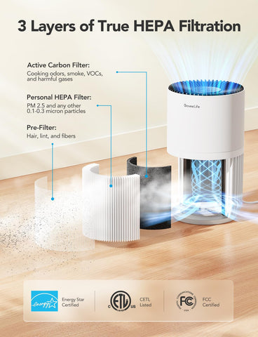 GoveeLife mini air purifier auto mode adapts to air quality.