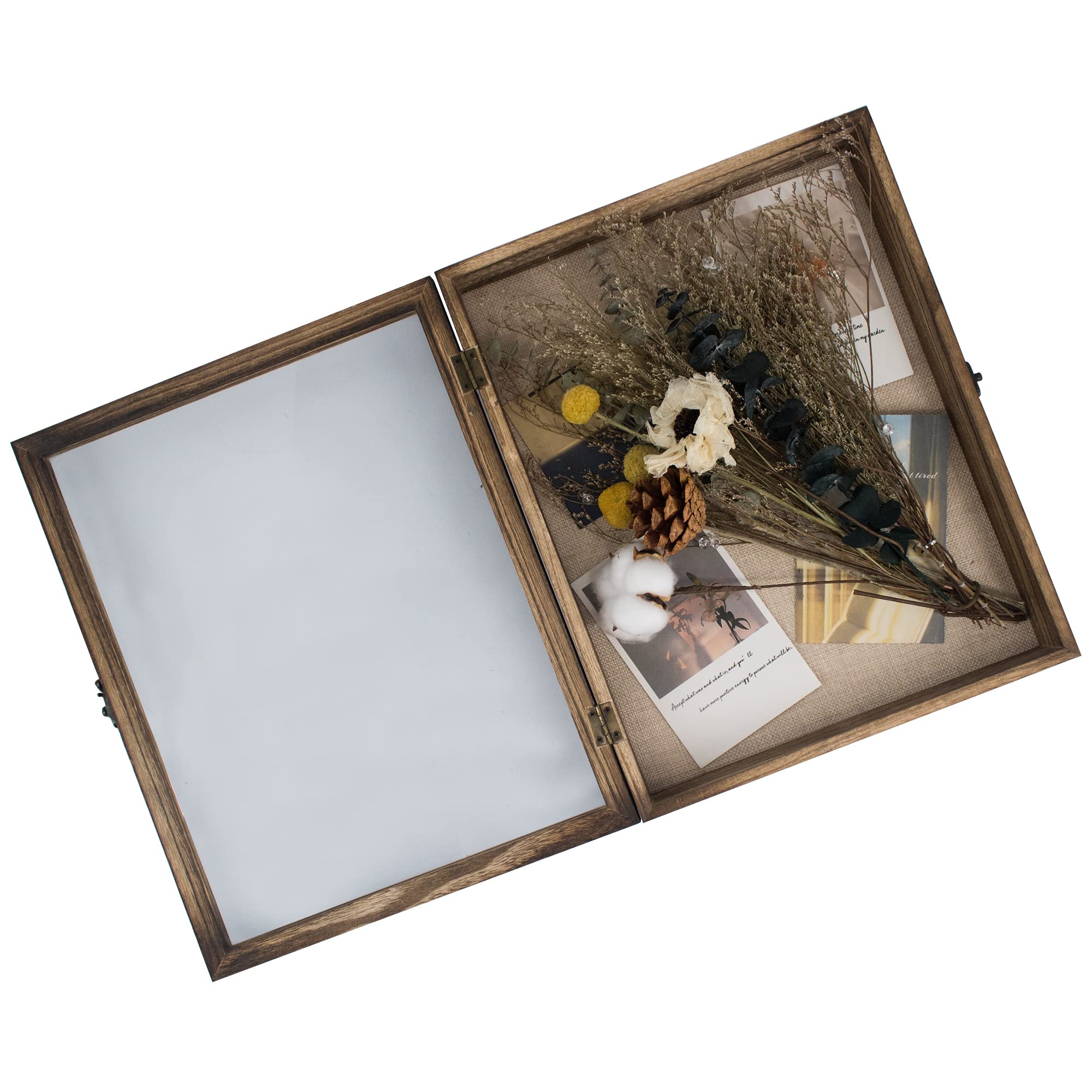 GraduatePro shadow box 11x14 glass window offers clear protection for mementos.