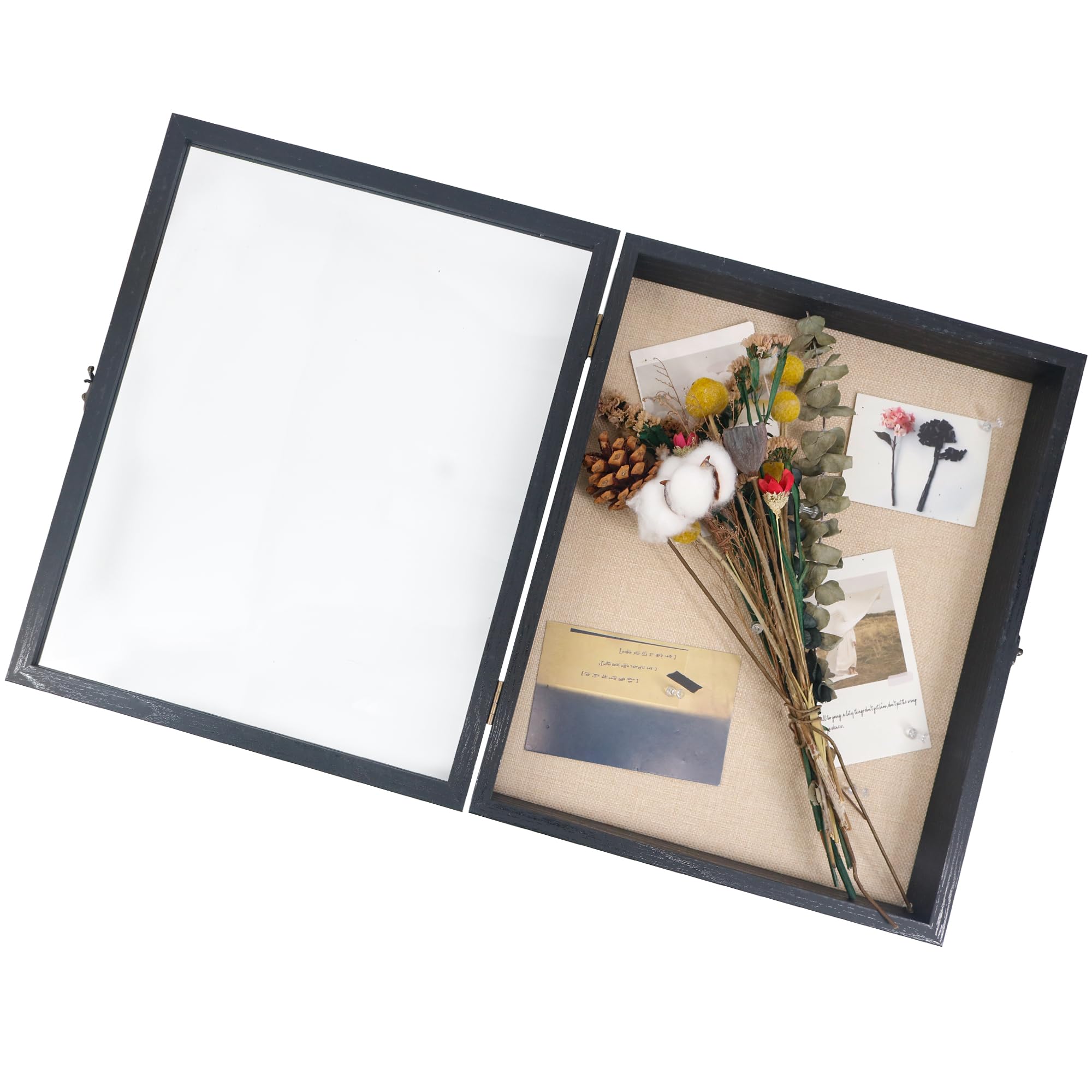 GraduatePro Shadow Box with horn lock provides secure display of memorabilia