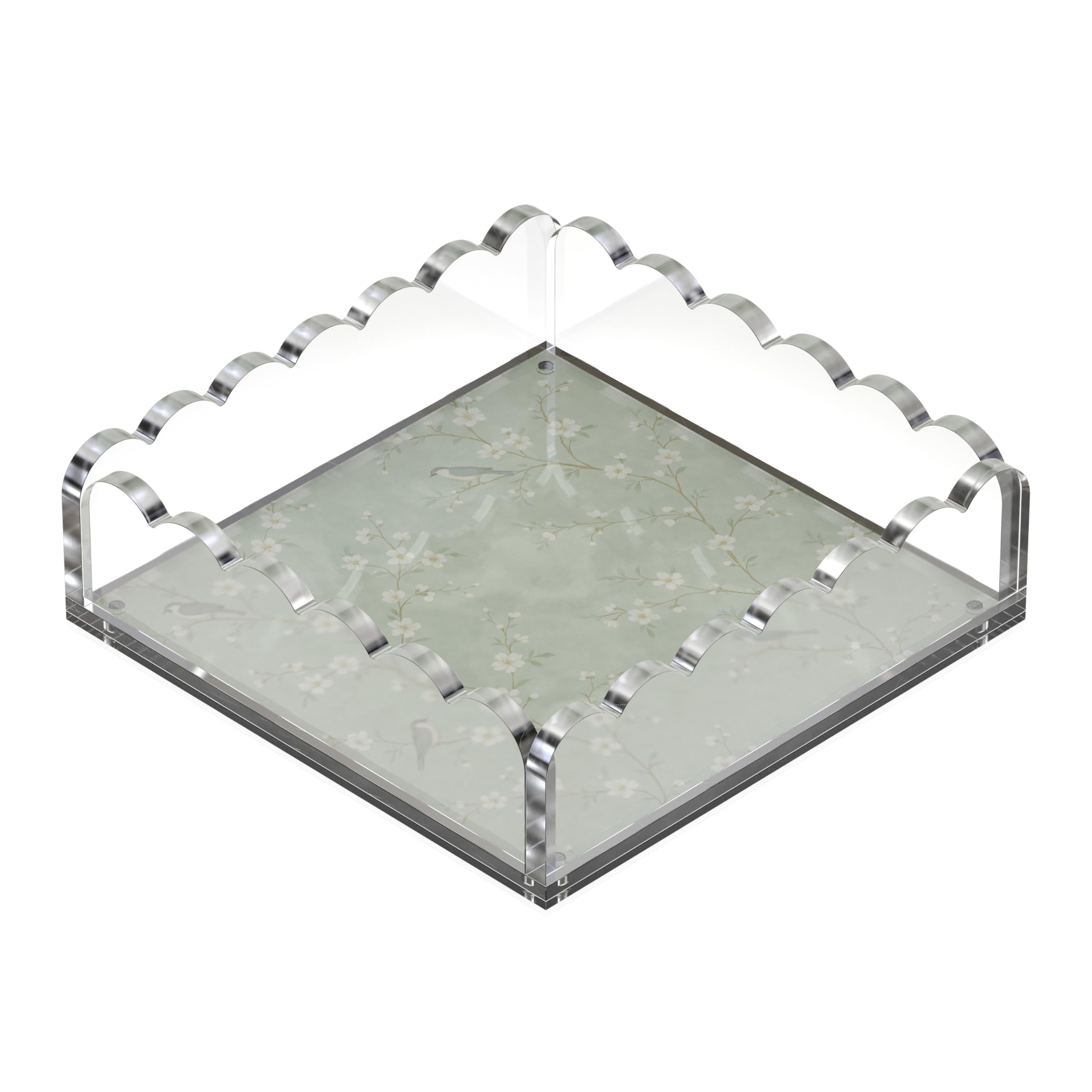 Graham Design clear acrylic tray highlights decor with crystal clarity.