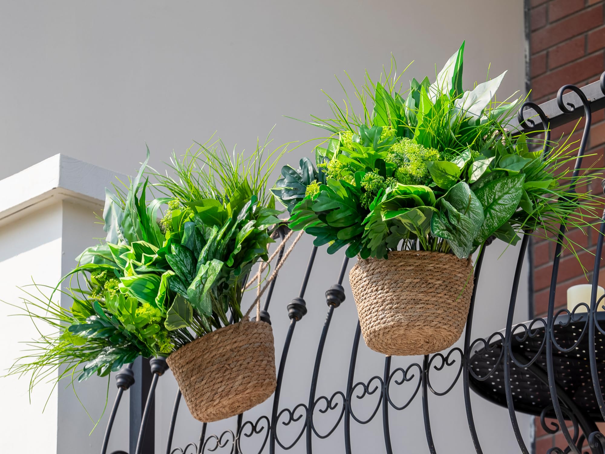 Green Moon easy care plants require no watering or pruning.
