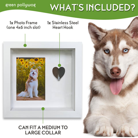 Green Pollywog shadowbox side view highlights tag hanger and collar area