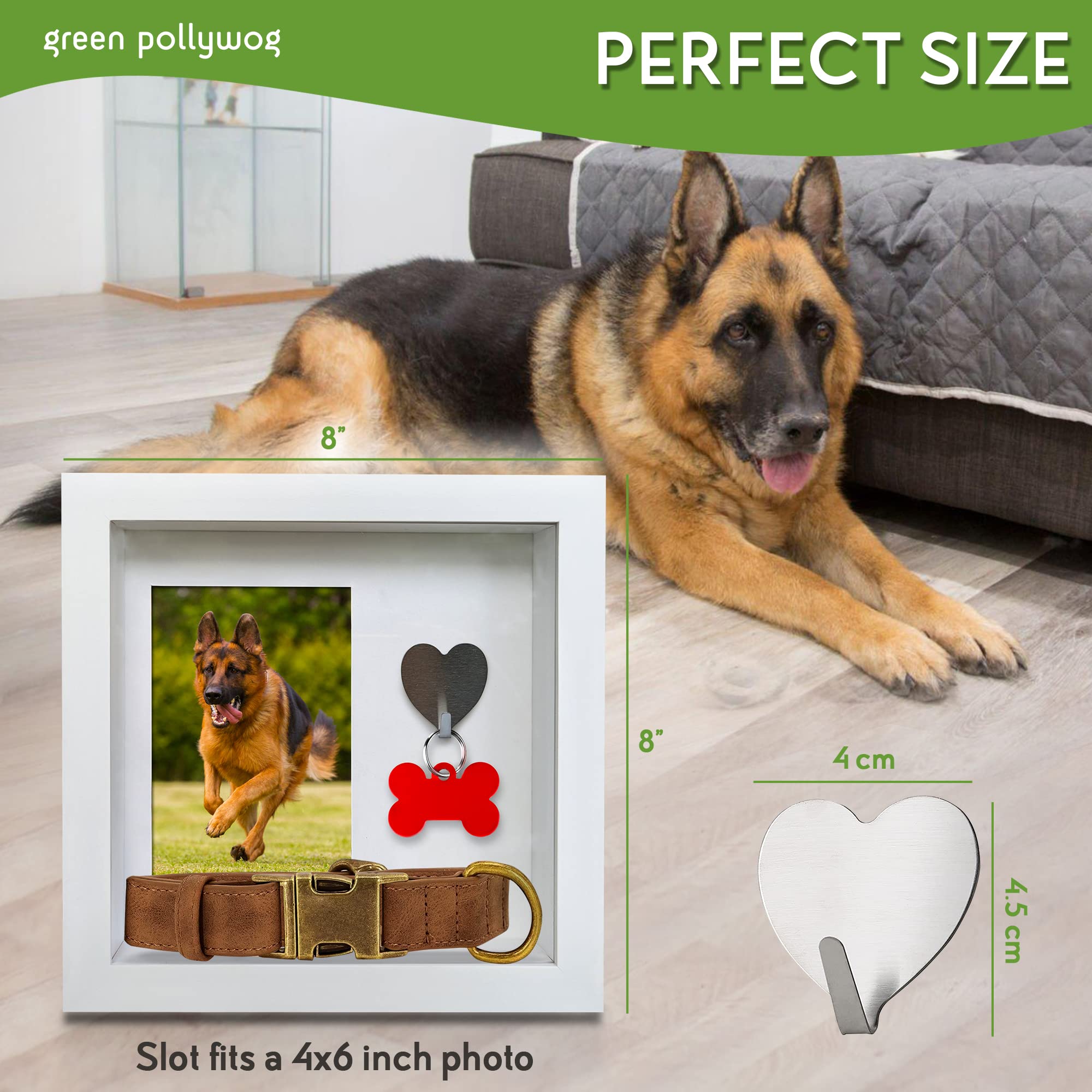 Green Pollywog gift-ready memorial shadowbox for pet lovers