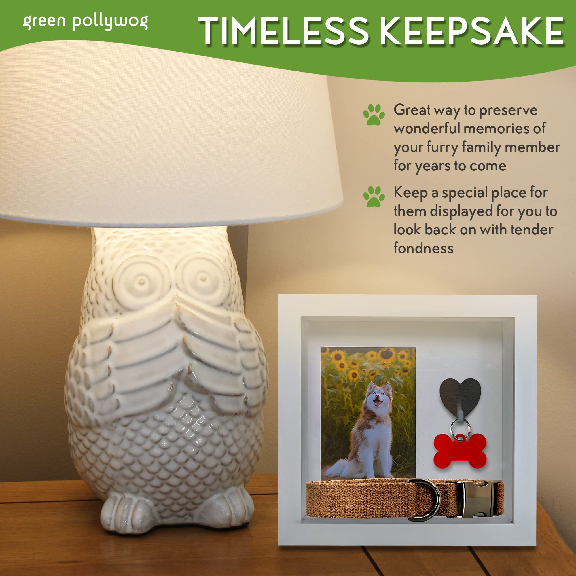 Green Pollywog easel back for versatile shelf display