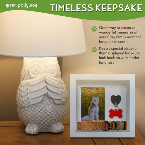 Green Pollywog easel back for versatile shelf display