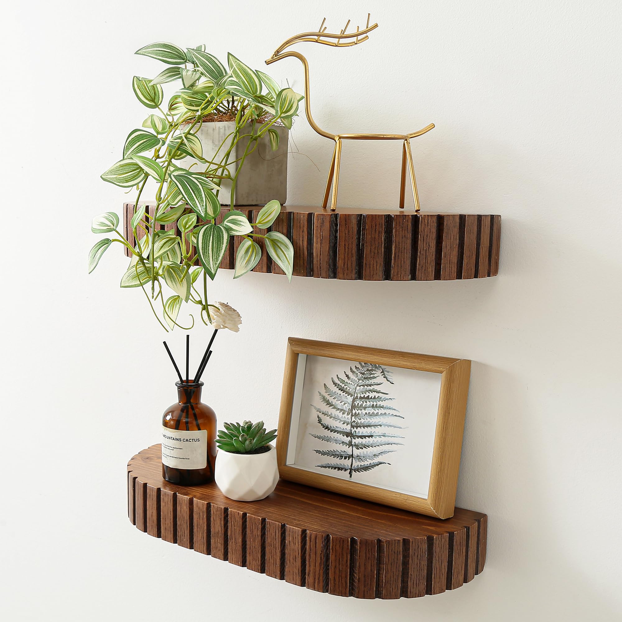 GRID FORTE wood rounded fluted shelf front view for plants and photos