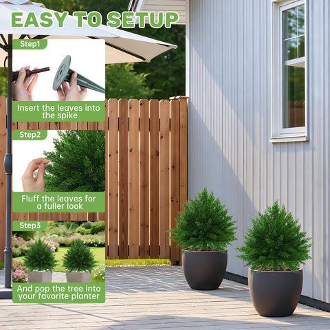 Grooy indoor office topiary for inviting reception areas.