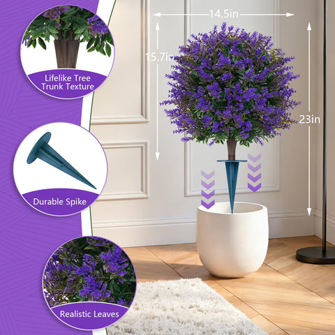 Grooy lavender topiary in planter adding year-round curb appeal.