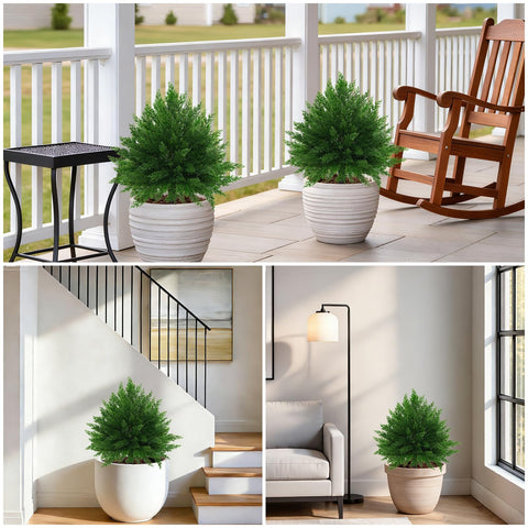 Grooy outdoor porch decor topiary adds year-round greenery.