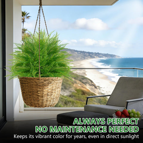 Grooy ready-to-display topiary bundle for indoor and outdoor settings