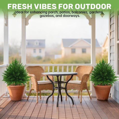 Grooy weatherproof foliage maintains color through seasons.