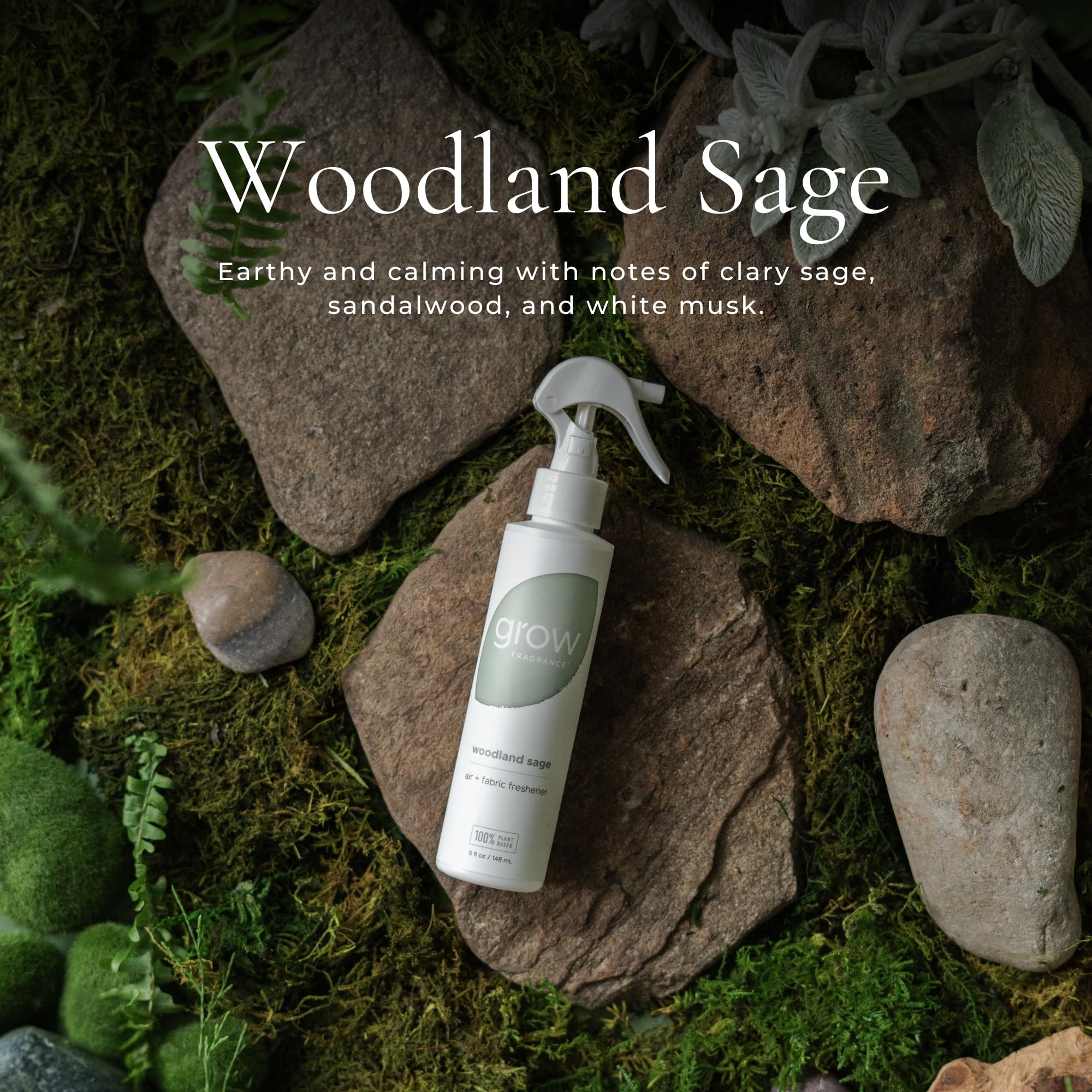 Grow Fragrance Blondewood Woodland Sage living room setup with inviting scent