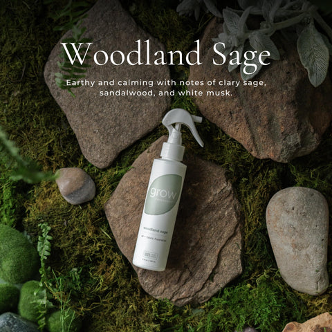 Grow Fragrance Blondewood Woodland Sage living room setup with inviting scent