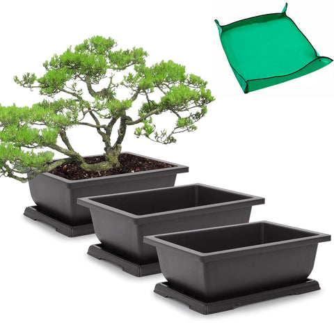 GROWNEER 11-inch bonsai pot with drainage tray for healthier roots.