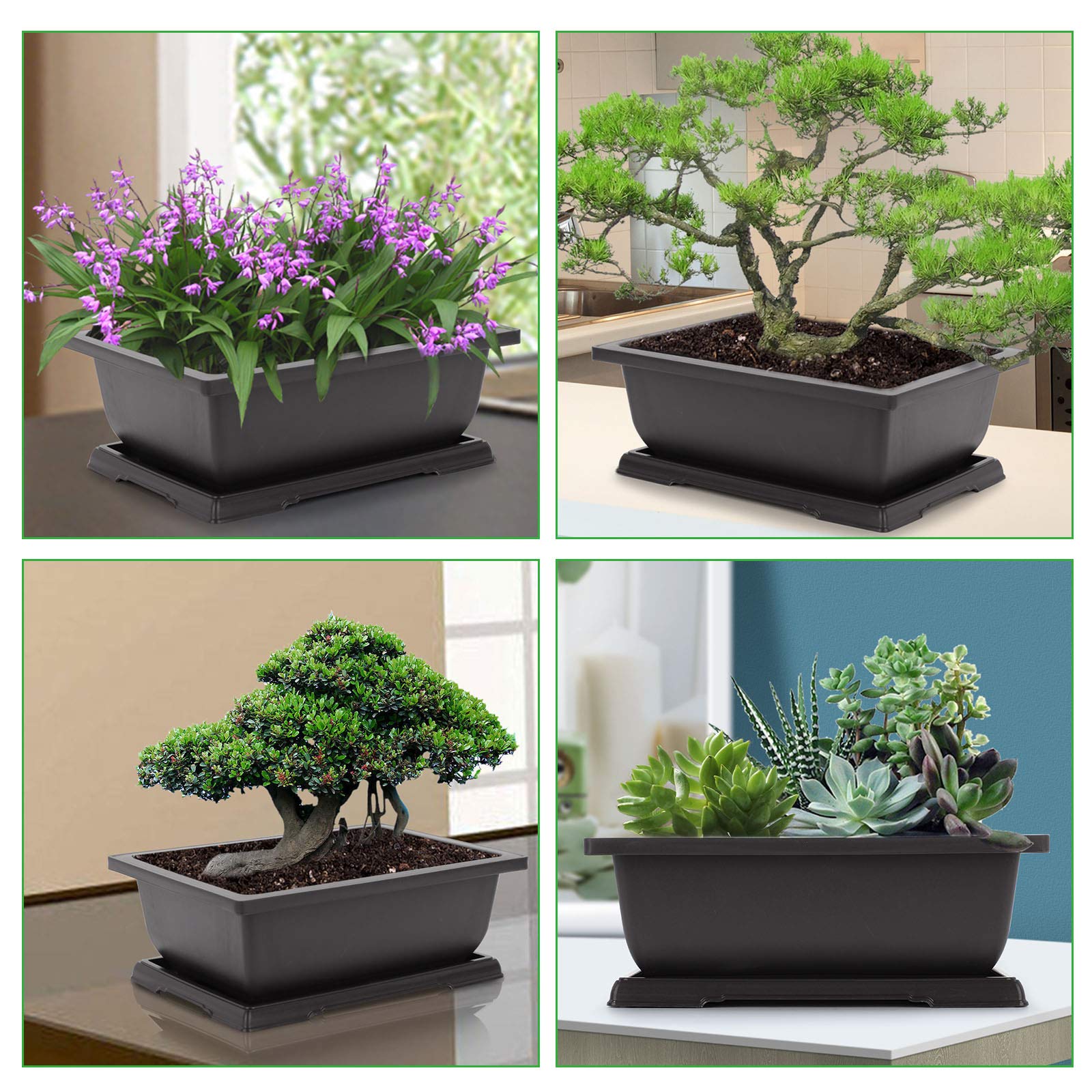 GROWNEER indoor/outdoor bonsai setup on deck or patio.