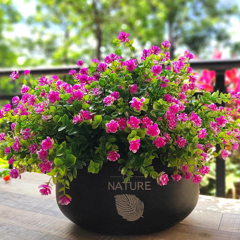 Grunyia pink outdoor flowers brighten a window box with lasting color.