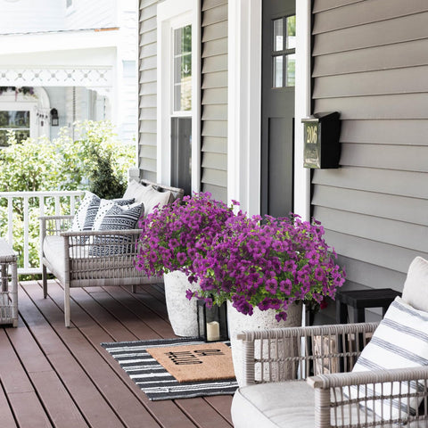 Grunyia outdoor flowers in window boxes add realistic textures and color