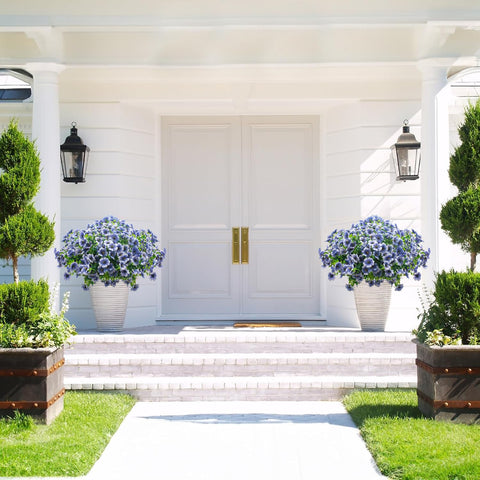Grunyia blue daisy garden border idea for curb appeal