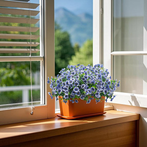 Grunyia blue daisy sunlit display showing color retention
