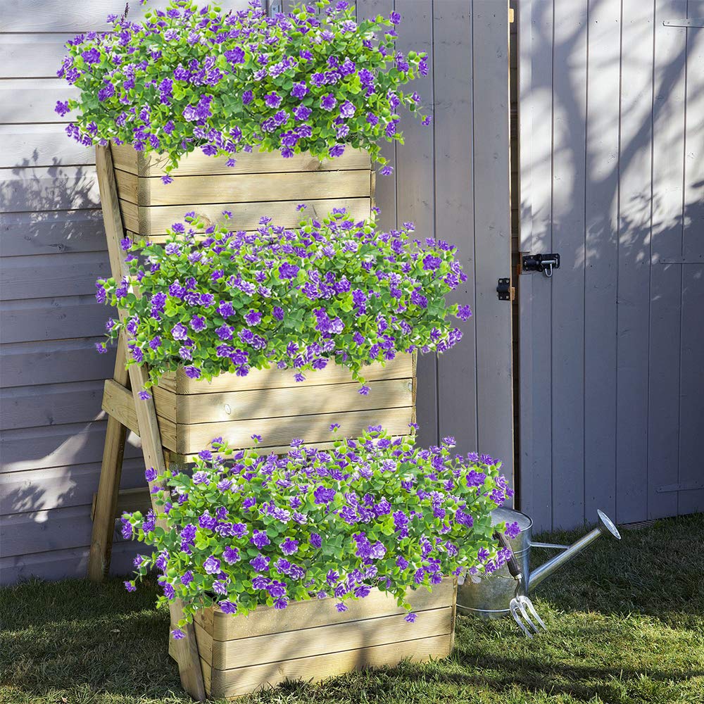 Grunyia blue eucalyptus full-size shrub, 8.6 by 13.39 inches, vibrant greenery.