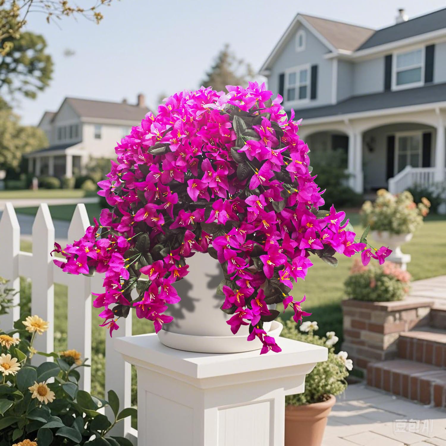 Grunyia Bougainvillea porch decor in sunny outdoor space with vibrant color.