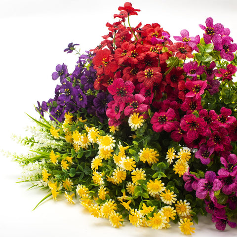Bright cheerful Grunyia blooms enhance any garden or balcony decor.
