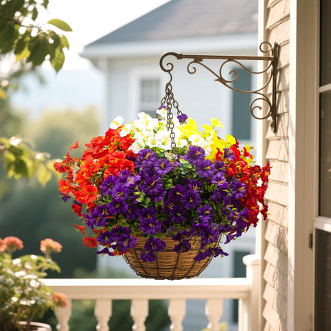Grunyia colorful morning glory mix adds curb appeal to porches.