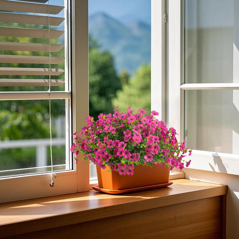 Grunyia daisy colorful red purple enhances curb appeal for exteriors.