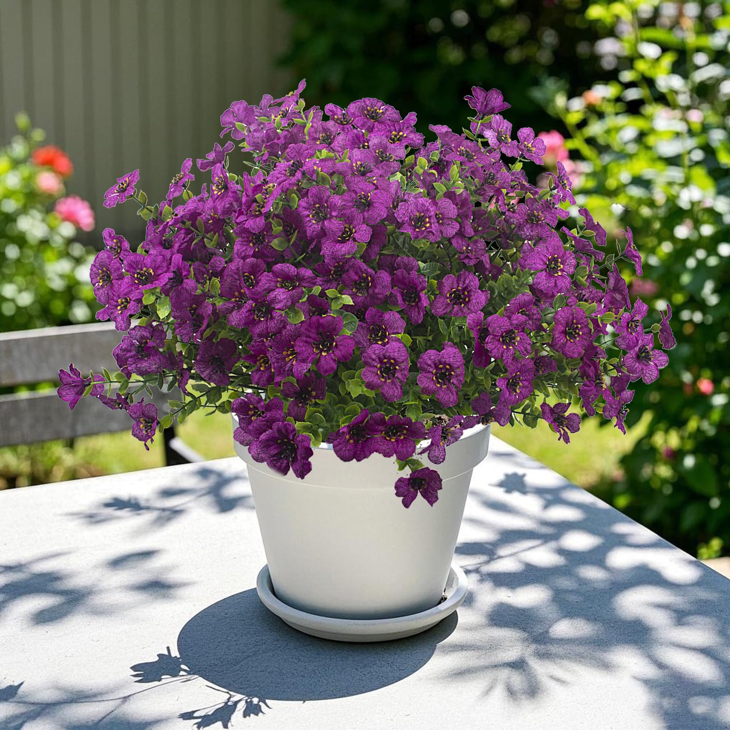 Grunyia daisy bundles for planters and pots create charming decorative focal points