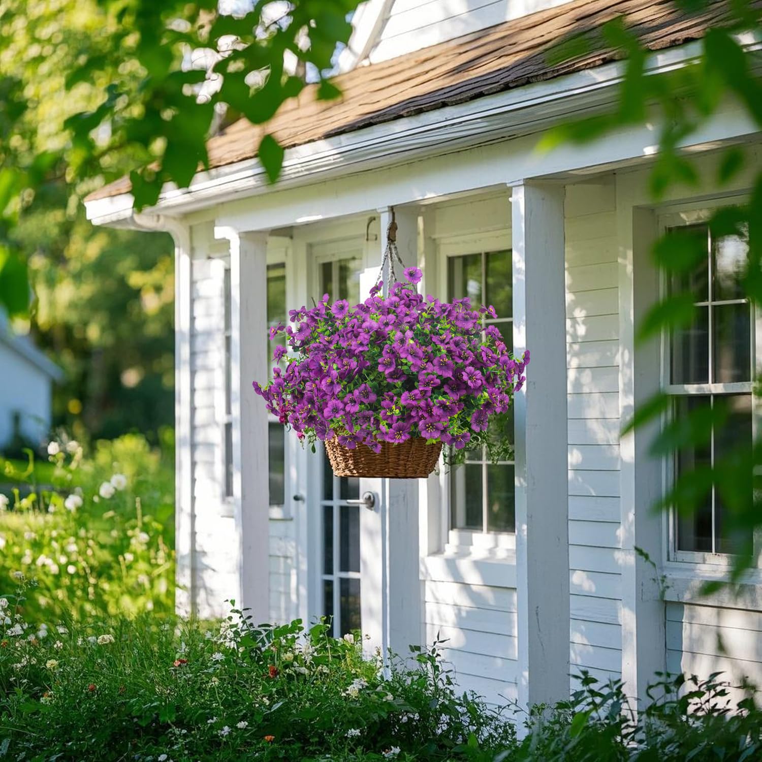 Grunyia daisy windows box decor enhances small-space charm.