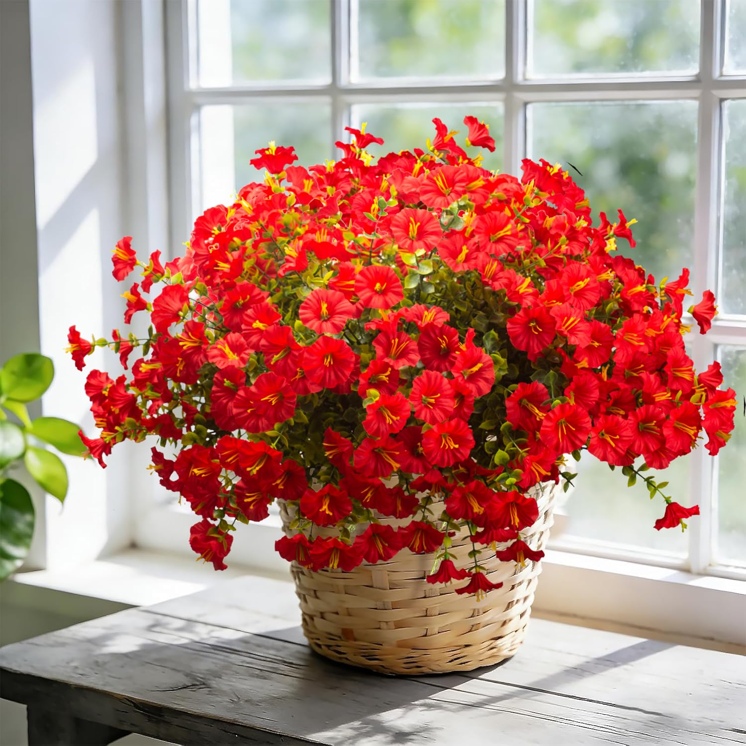 Grunyia full-plant arrangement for porch adds realistic texture.