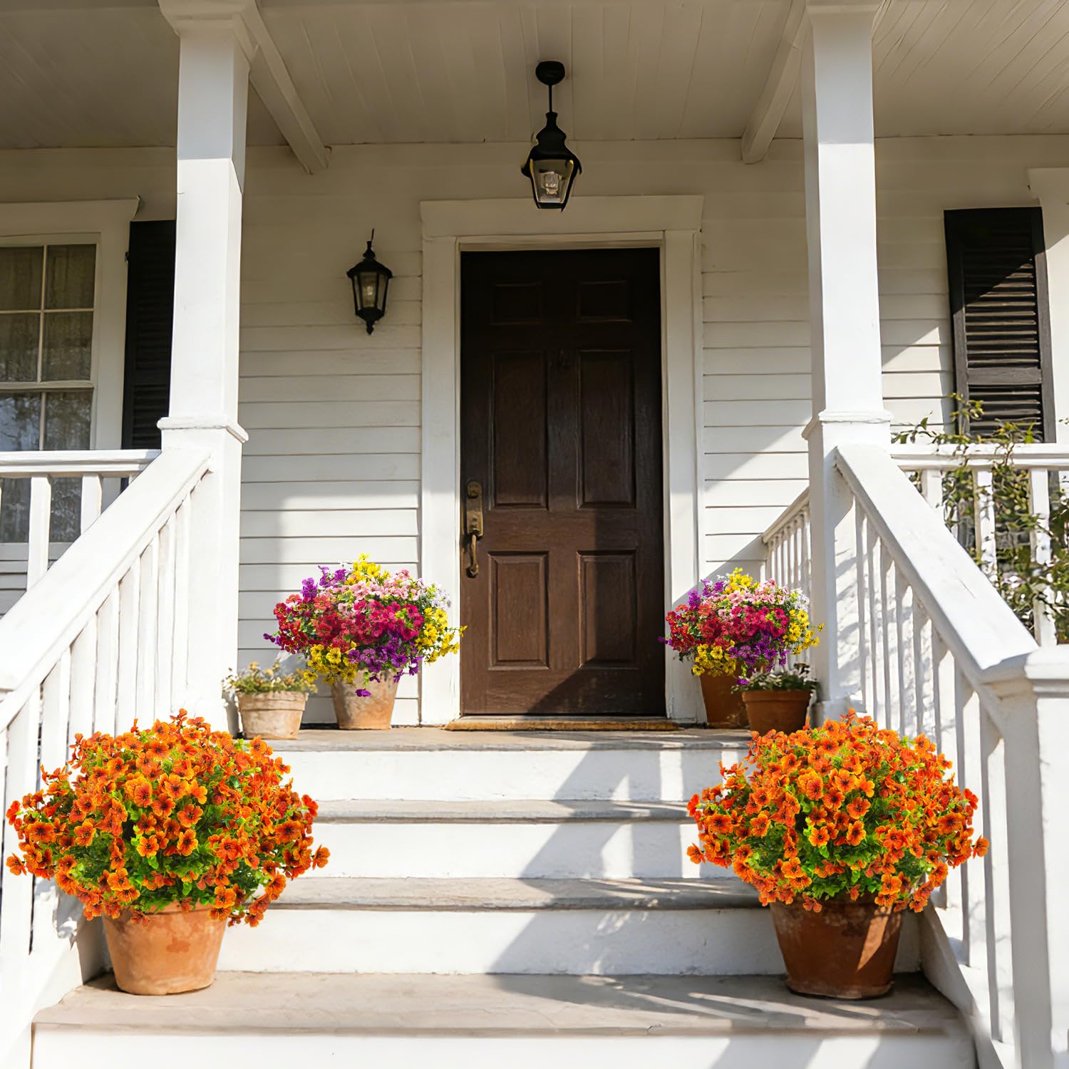 Grunyia orange outdoor flowers ideal for hanging planters and balconies.