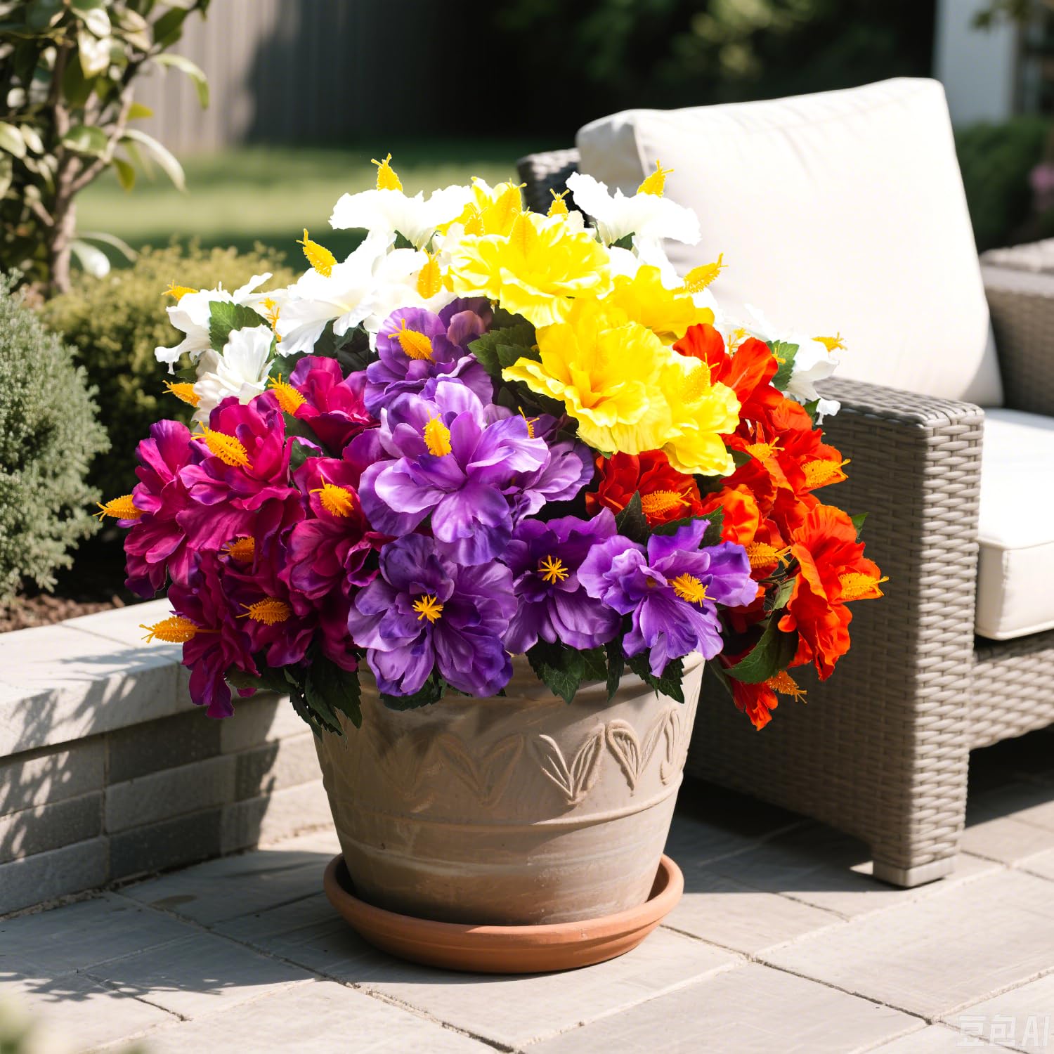 Grunyia hibiscus for window boxes provides low-maintenance year-round color.